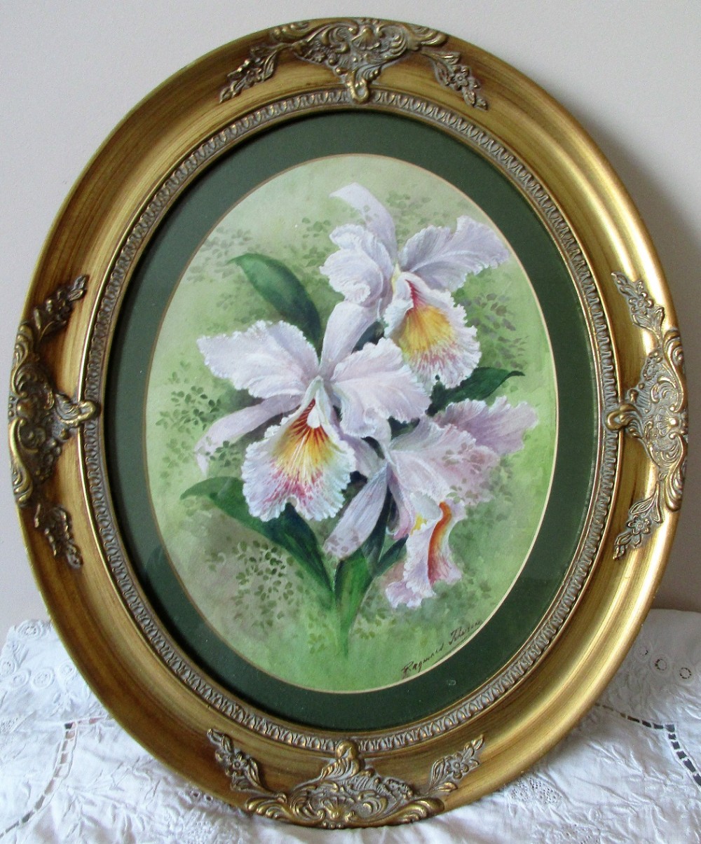 orchids watercolour reginald johnson